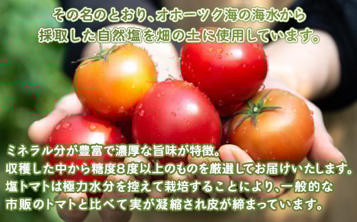 ãå
è¡åä»ãçŸå¹çºç£ã»æšå³åçž®ã®ãªããŒãã¯å¡©ããã çŽ1kg BHRG006