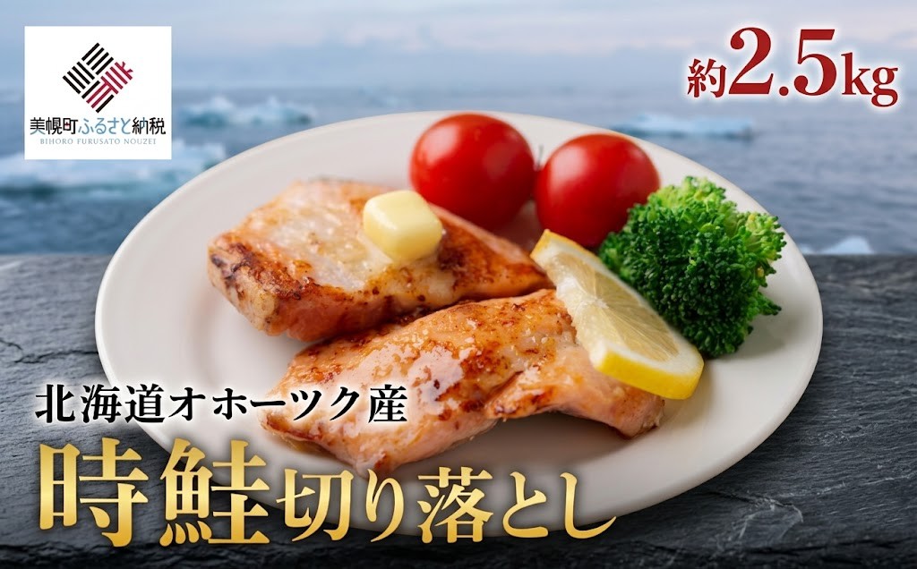 【先行受付】北海道オホーツク産 時鮭切り落とし 約2.5kg（2026年11月上旬より順次発送） 