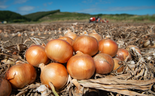 ã什å8å¹Žç£ å
è¡äºçŽãçããLãµã€ãºã»20kgïŒ2026幎10æäžæ¬ããé æ¬¡çºéïŒ BHRG030