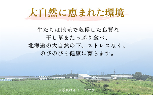 【田村精肉店】北海道産ブランド牛の赤身600g(スライス400g・切り落とし200g)【配送不可地域：離島】 BHRJ021