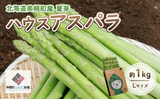 【先行予約】2026年産 ハウスアスパラ(夏芽) L サイズ 約1kg【配送不可地域：離島】（2026年7月1日より順次発送） 