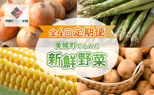 【定期便】先行予約 美幌町でとれた新鮮野菜～全4回～（2025年3月発送開始予定） BHRG081