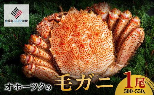 オホーツクの毛ガニ　[500g〜550g×1尾]【配送不可地域：離島】 
