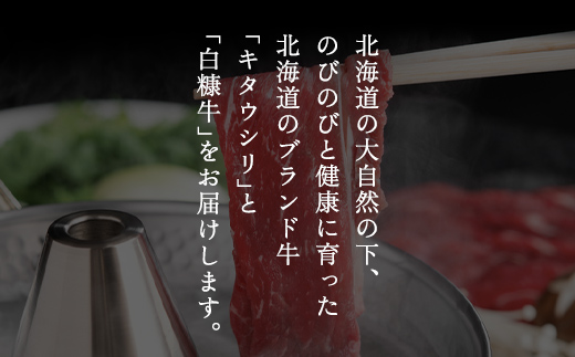 【田村精肉店】北海道産ブランド牛の赤身2kg(スライス1600g・切り落とし400g)【配送不可地域：離島】 BHRJ020