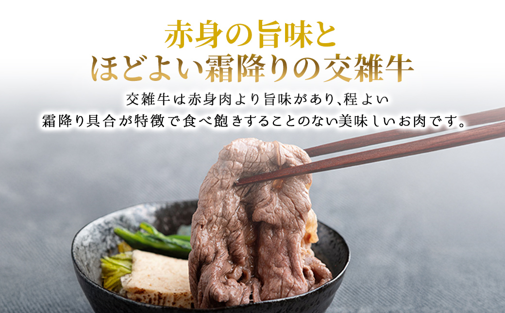 蛹玲オキ驕鍋肇莠、髮醍央繧オ繝シ繝ュ繧、繝ウ繧ケ繝繝シ繧ュ 600g BHRJ036