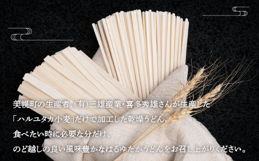 大人気の北海道小麦使用「はるゆたかうどん　平麺＆細麺」 BHRH015