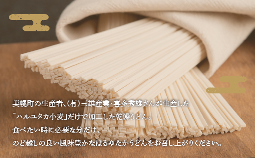 大人気の北海道小麦使用「はるゆたかうどん 細麺」 BHRH014