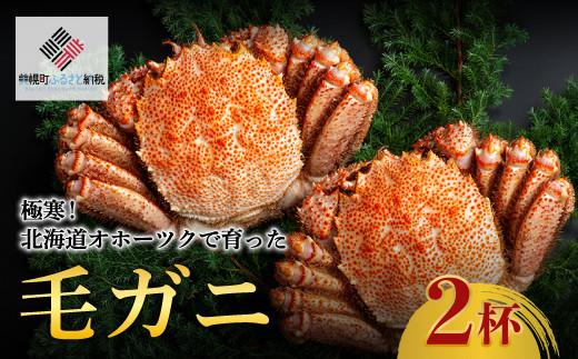 シ憺剞螳夲シ樊・オ蟇抵シ∝圏豬キ驕薙が繝帙シ繝繧ッ縺ァ閧イ縺」縺 窶晄ッ帙ぎ繝銀 2譚ッ