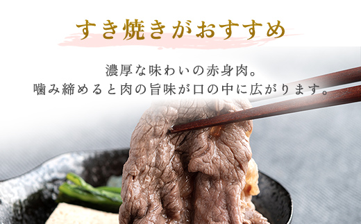 【田村精肉店】北海道産ブランド牛の赤身600g(スライス400g・切り落とし200g)【配送不可地域：離島】 BHRJ021