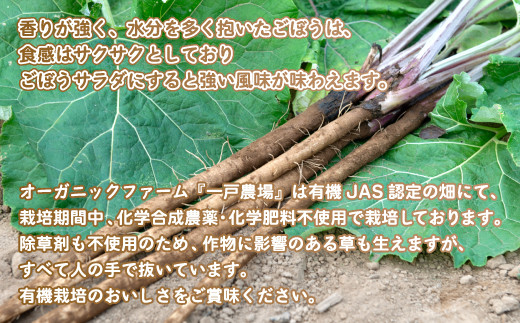 美幌町産・有機JAS 土つきごぼう 5kg BHRG011