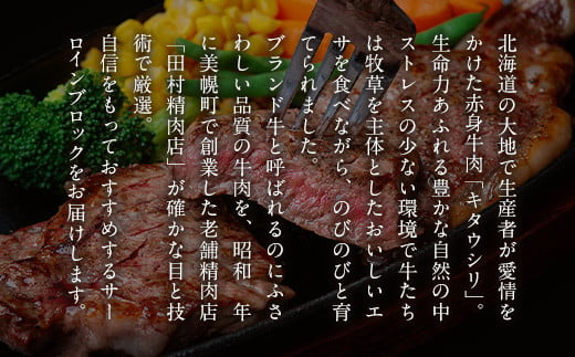 【田村精肉店】北海道産ブランド牛　サーロインブロック　4kg以上【配送不可地域：離島】 BHRJ014