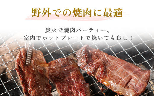 【田村精肉店】牛サガリ（焼肉用）300ｇ×2Ｐ／Ｃ 【配送不可地域：離島】 BHRJ018