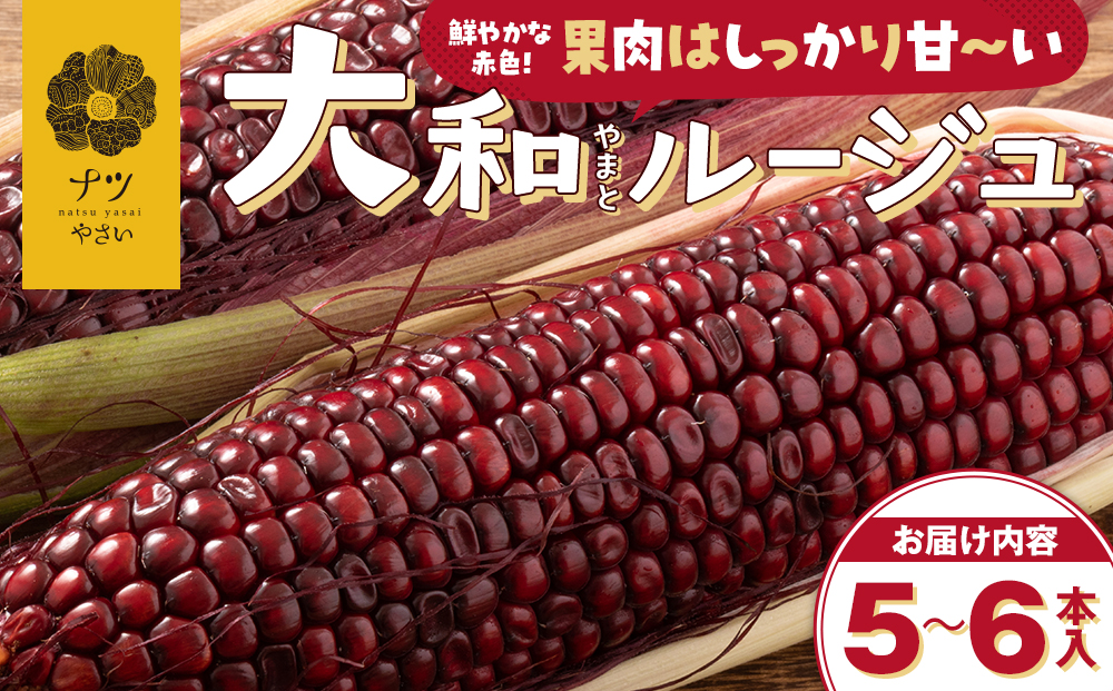 【R7年早期受付】9月の旬 日本初の赤トウモロコシ「大和ルージュ」 5本 ピンクの八百屋 ナツやさい  | とうもろこし トウモロコシ 大和ルージュ 旬 新鮮 野菜 夏 産地直送 北海道 津別町 送料無料