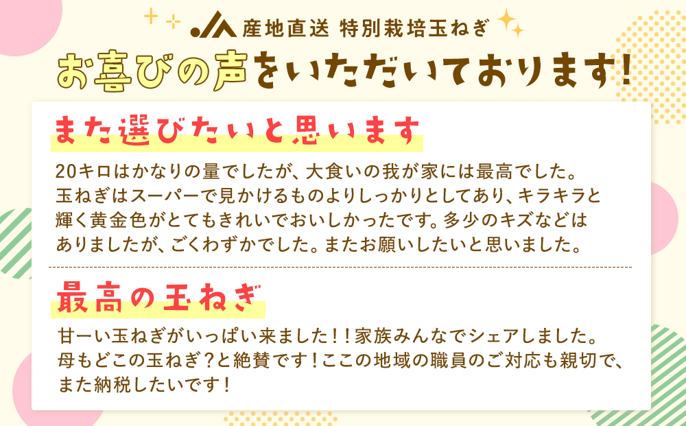 【先行受付】R8年産 特別栽培玉ねぎ 5kg |  玉ねぎ たまねぎ タマネギ 玉葱 大容量 オニオン 甘い 減農薬 特別栽培 国産 カレー ハンバーグ 煮込み 炒め物 北海道 津別町 送料無料