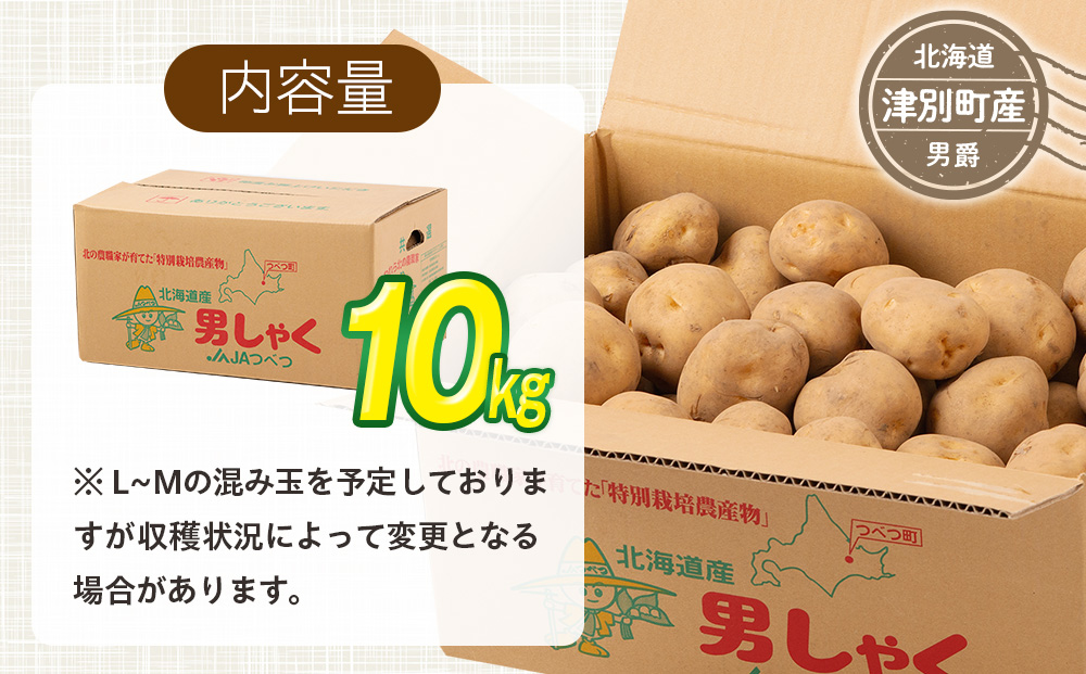 R8年産先行受付 じゃがいも 10kg 特別栽培（男爵） | ジャガイモ 芋 男爵 馬鈴薯 大容量 新鮮 野菜 煮物 カレー シチュー ポテト 保存 特産 産地直送 北海道 津別町 送料無料