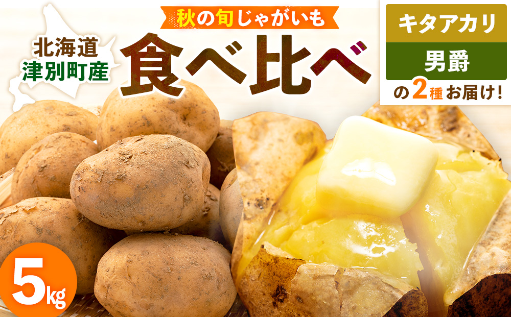【先行予約】秋の旬 じゃがいも２種食べ比べ ５kg ピンクの八百屋〜ナツやさい〜  | 北海道津別町