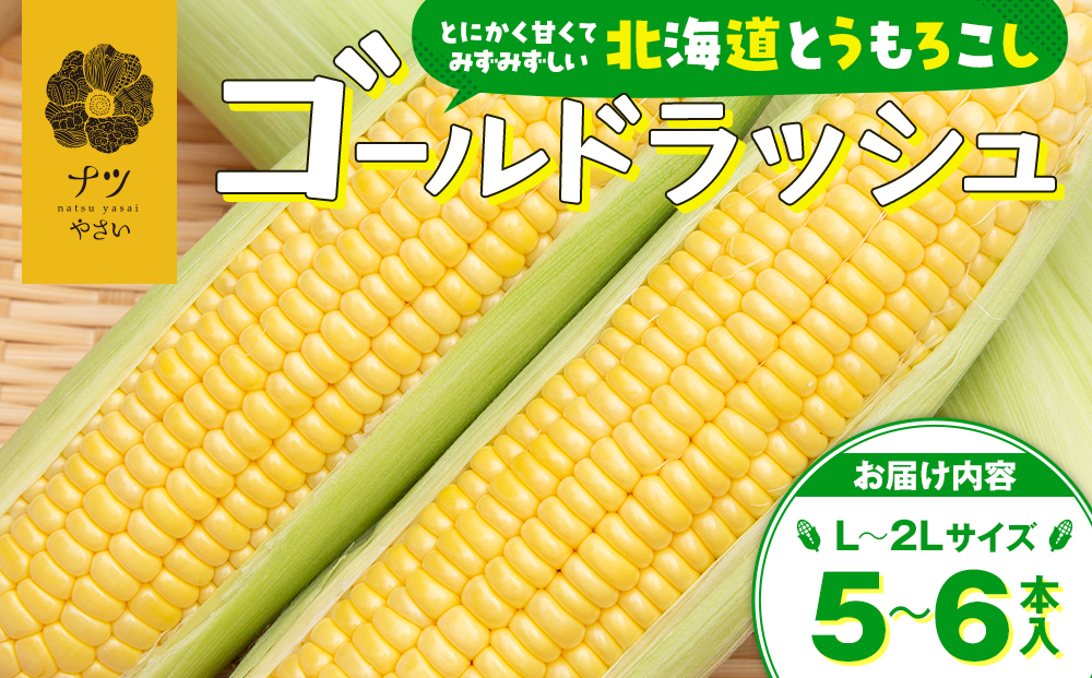 【R7年産】8月の旬 トウモロコシ（ゴールドラッシュ） 5・6本 ピンクの八百屋 ナツやさい | とうもろこし トウモロコシ ゴールドラッシュ 旬 新鮮 野菜 夏 甘い 産地直送 北海道 津別町 送料無料