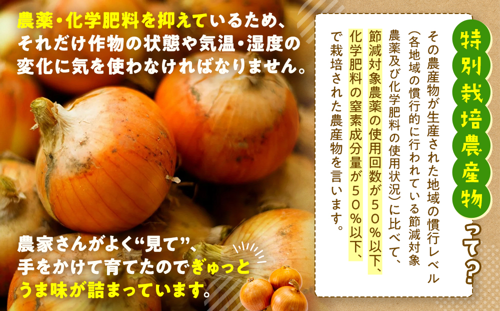 【先行受付】R8年産 特別栽培玉ねぎ 20kg |  玉ねぎ たまねぎ タマネギ 玉葱 大容量 オニオン 甘い 減農薬 特別栽培 国産 カレー ハンバーグ 煮込み 炒め物 北海道 津別町 送料無料.