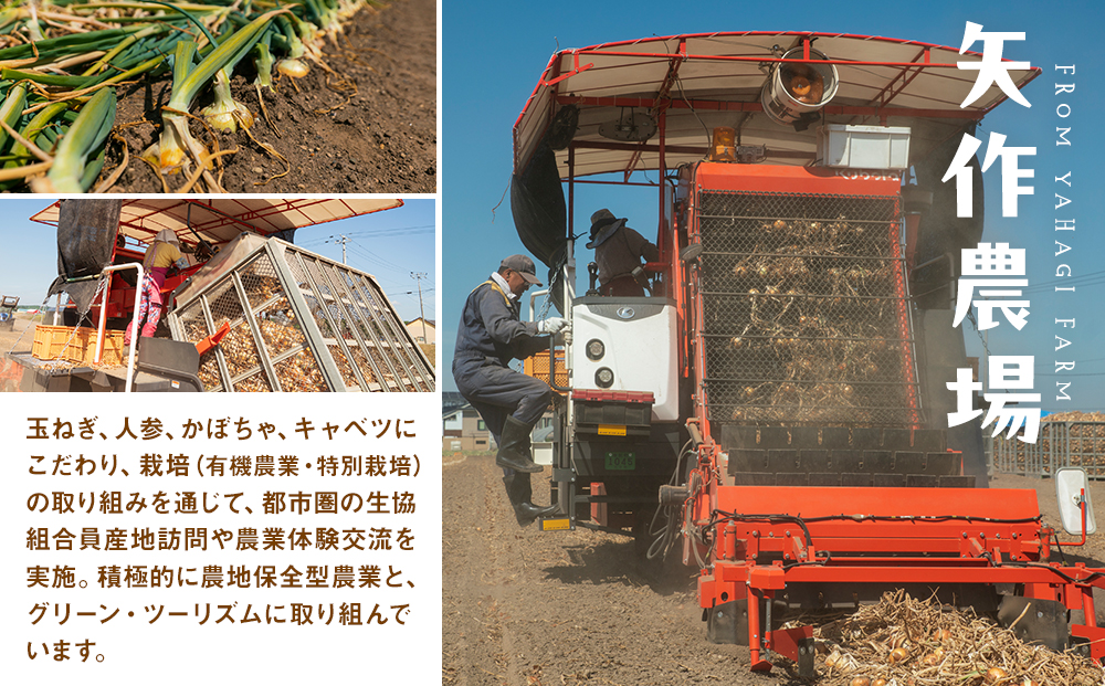 R8年産 有機農産物 玉ねぎ 20kg (有)矢作農場 | 玉ねぎ たまねぎ タマネギ 玉葱 大容量 オニオン 甘い 有機栽培 国産 産地直送 カレー ハンバーグ 煮込み 炒め物 北海道 津別町 送料無料 