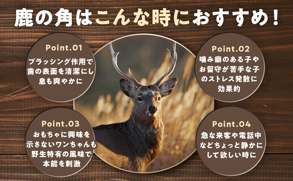 ãã¬ã·ã« 鹿ã®è§ LLãµã€ãº ïŒ15ã»ã³ãåå²ãïŒæ¬ïŒ 5è¢ | ç¬ ãããçš æç¬çš ããã¡ã ç©å
· é¹¿è§ ãšãŸã·ã« æ¯ã¿ãã ã¬ã ãã³ã¿ã«ã±ã¢ ã¹ãã¬ã¹çºæ£ å€©ç¶ ç¡æ·»å åæµ·é 接å¥çº éæç¡æ