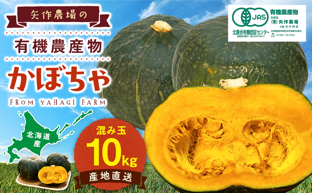 【先行受付】R8年産 有機栽培かぼちゃ 10kg | かぼちゃ カボチャ 南瓜 大容量 パンプキン 甘い 有機栽培 国産 産地直送 北海道 津別町 送料無料