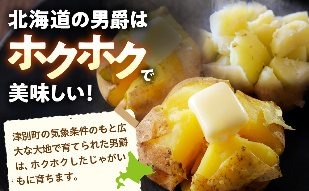 R8年産先行受付 じゃがいも 5kg 特別栽培（男爵） | ジャガイモ 芋 男爵 馬鈴薯 大容量 新鮮 野菜 煮物 カレー シチュー ポテト 保存 特産 産地直送 北海道 津別町 送料無料