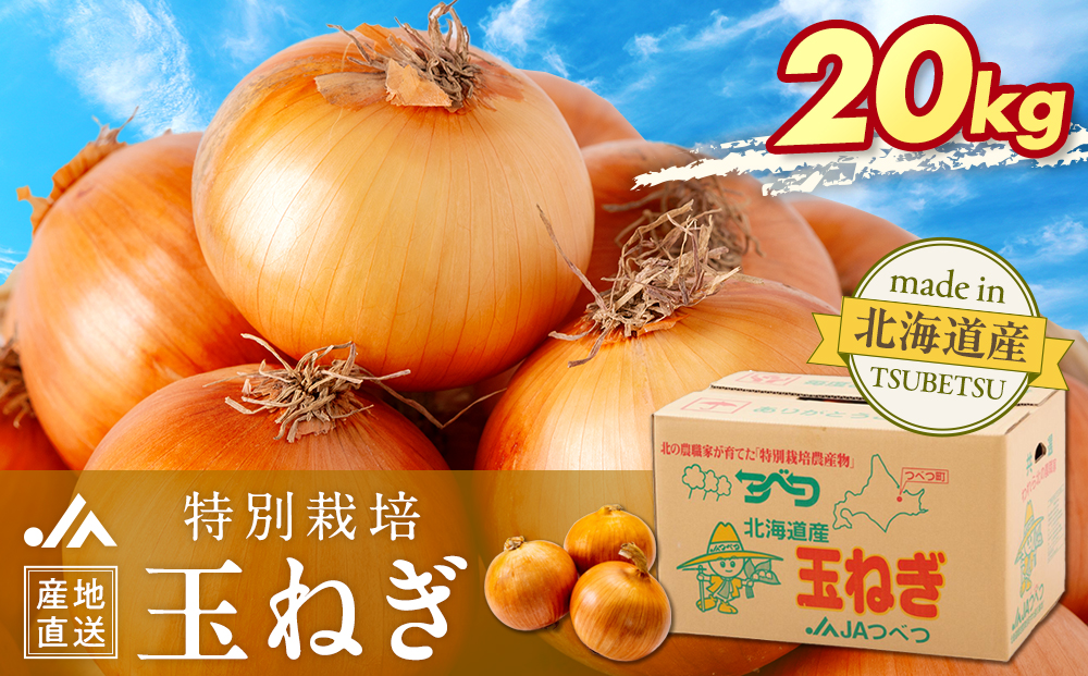 【先行受付】R8年産 特別栽培玉ねぎ 20kg |  玉ねぎ たまねぎ タマネギ 玉葱 大容量 オニオン 甘い 減農薬 特別栽培 国産 カレー ハンバーグ 煮込み 炒め物 北海道 津別町 送料無料.