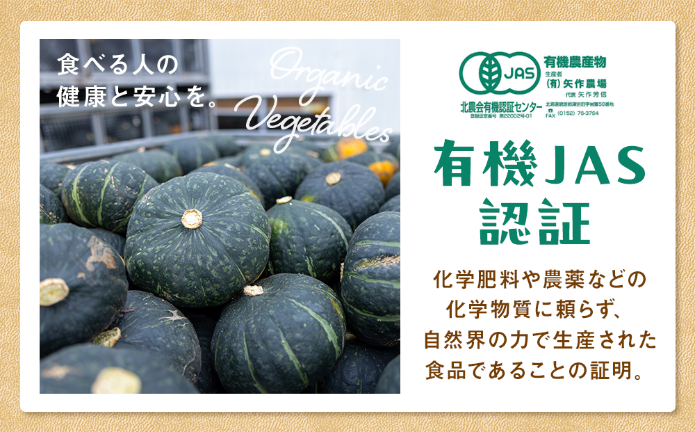 ãå
è¡åä»ãR8å¹Žç£ ææ©æ œå¹ããŒã¡ã 10kg | ããŒã¡ã ã«ãã㣠åç 倧容é ãã³ããã³ çã ææ©æ œå¹ åœç£ ç£å°çŽé åæµ·é 接å¥çº éæç¡æ