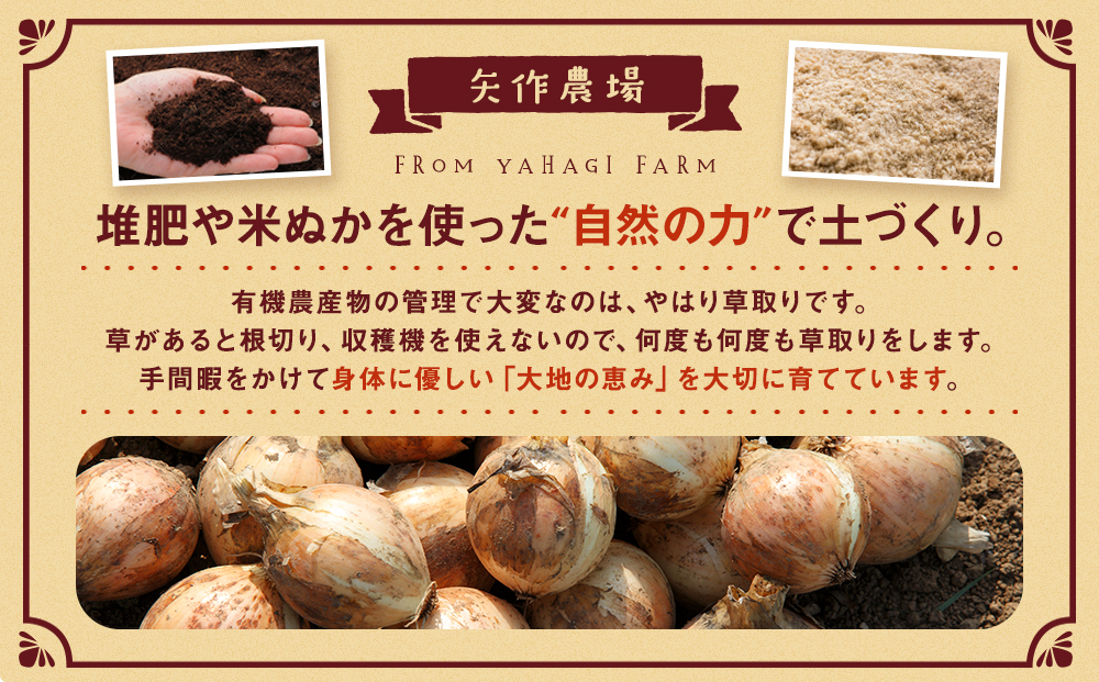 R8年産 有機農産物 玉ねぎ 20kg (有)矢作農場 | 玉ねぎ たまねぎ タマネギ 玉葱 大容量 オニオン 甘い 有機栽培 国産 産地直送 カレー ハンバーグ 煮込み 炒め物 北海道 津別町 送料無料 