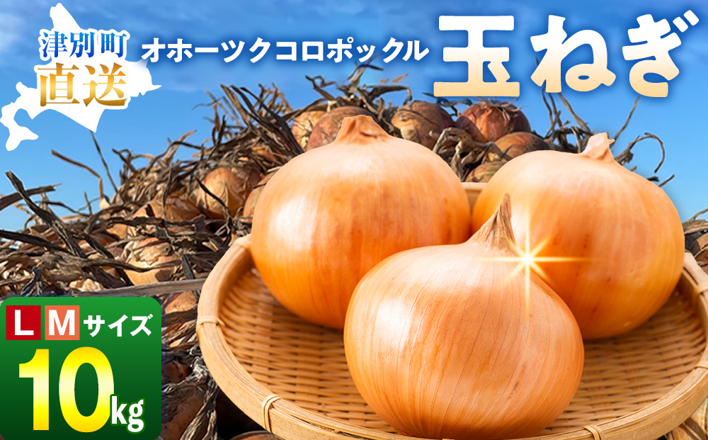 R8年産 玉ねぎ （L玉・M玉混合） 10kg オホーツクコロポックル | 北海道津別町