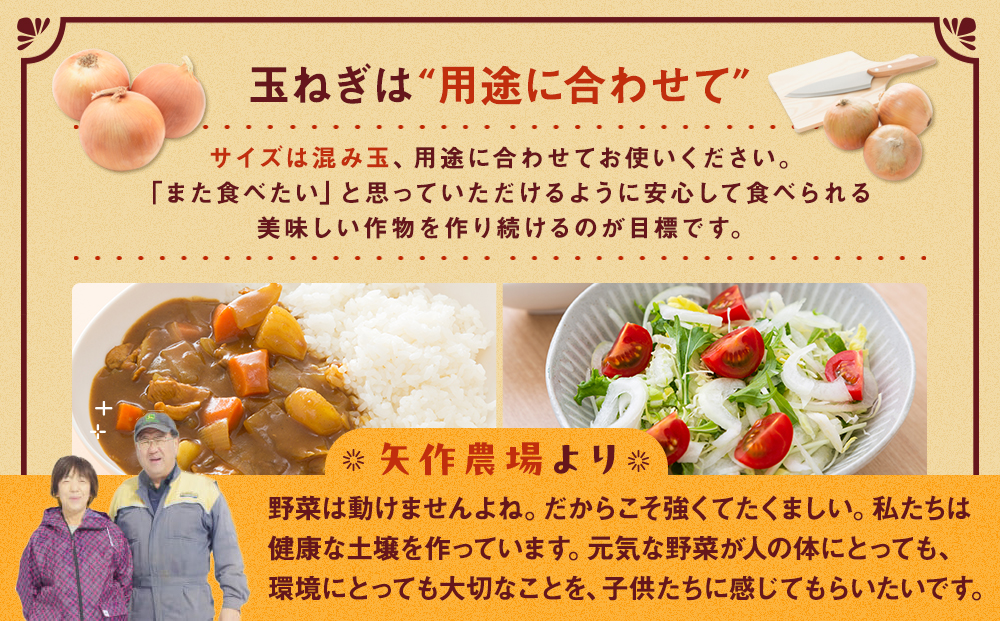 R8年産 有機農産物 玉ねぎ 20kg (有)矢作農場 | 玉ねぎ たまねぎ タマネギ 玉葱 大容量 オニオン 甘い 有機栽培 国産 産地直送 カレー ハンバーグ 煮込み 炒め物 北海道 津別町 送料無料 