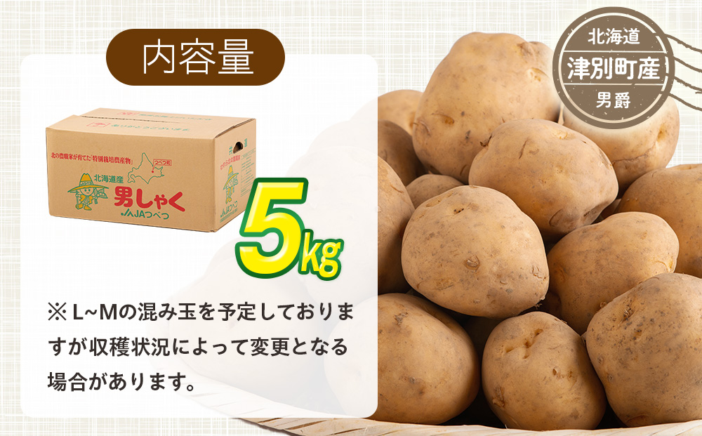 R8年産先行受付 じゃがいも 5kg 特別栽培（男爵） | ジャガイモ 芋 男爵 馬鈴薯 大容量 新鮮 野菜 煮物 カレー シチュー ポテト 保存 特産 産地直送 北海道 津別町 送料無料