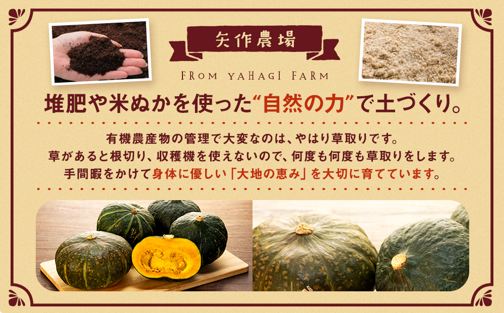 ãå
è¡åä»ãR8å¹Žç£ ææ©æ œå¹ããŒã¡ã 10kg | ããŒã¡ã ã«ãã㣠åç 倧容é ãã³ããã³ çã ææ©æ œå¹ åœç£ ç£å°çŽé åæµ·é 接å¥çº éæç¡æ