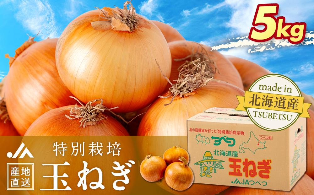 【先行受付】R8年産 特別栽培玉ねぎ 5kg |  玉ねぎ たまねぎ タマネギ 玉葱 大容量 オニオン 甘い 減農薬 特別栽培 国産 カレー ハンバーグ 煮込み 炒め物 北海道 津別町 送料無料