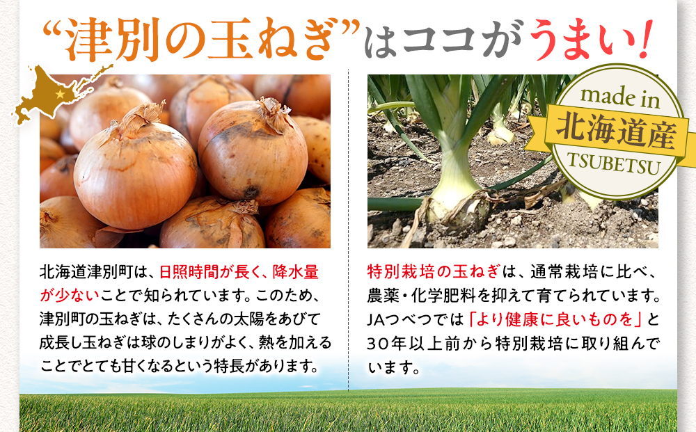 【先行受付】R8年産 特別栽培玉ねぎ 20kg |  玉ねぎ たまねぎ タマネギ 玉葱 大容量 オニオン 甘い 減農薬 特別栽培 国産 カレー ハンバーグ 煮込み 炒め物 北海道 津別町 送料無料.