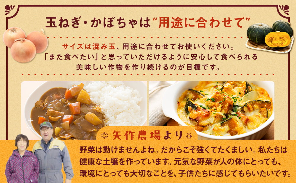 ãå
è¡åä»ãR8å¹Žç£ ææ©æ œå¹çããã»ããŒã¡ãã»ãã åèš20kg | çãã ããŸãã ã¿ããã® çè± ããŒã¡ã ã«ãã㣠åç ã»ãã è©°ãåãã 倧容é ãªããªã³ ãã³ããã³ çã ææ©æ œå¹ åœç£ ç£å°çŽé åæµ·é 接å¥çº éæç¡æ