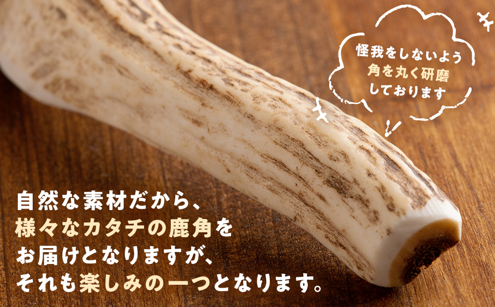 ãã¬ã·ã« 鹿ã®è§ LLãµã€ãº ïŒ15ã»ã³ãåå²ãïŒæ¬ïŒ 5è¢ | ç¬ ãããçš æç¬çš ããã¡ã ç©å
· é¹¿è§ ãšãŸã·ã« æ¯ã¿ãã ã¬ã ãã³ã¿ã«ã±ã¢ ã¹ãã¬ã¹çºæ£ å€©ç¶ ç¡æ·»å åæµ·é 接å¥çº éæç¡æ