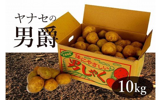 Ｒ7年産 じゃがいも 約10kg 男爵 ヤナセ農園 | 北海道津別町