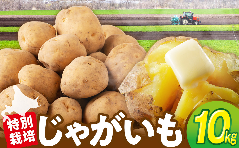 R8年産先行受付 じゃがいも 10kg 特別栽培（男爵） | ジャガイモ 芋 男爵 馬鈴薯 大容量 新鮮 野菜 煮物 カレー シチュー ポテト 保存 特産 産地直送 北海道 津別町 送料無料