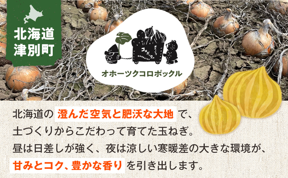 R8å¹Žç£ çãã ïŒMçã»Sçæ··åïŒ 10kg ãªããŒãã¯ã³ãããã¯ã« | åæµ·é接å¥çº