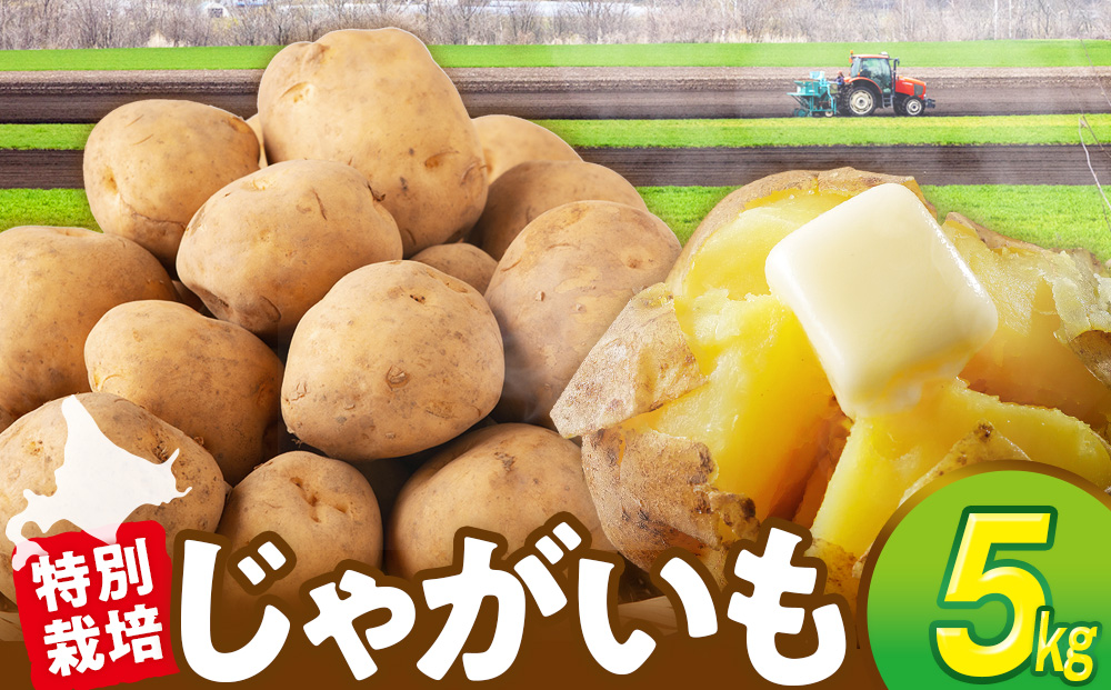 R8年産先行受付 じゃがいも 5kg 特別栽培（男爵） | ジャガイモ 芋 男爵 馬鈴薯 大容量 新鮮 野菜 煮物 カレー シチュー ポテト 保存 特産 産地直送 北海道 津別町 送料無料