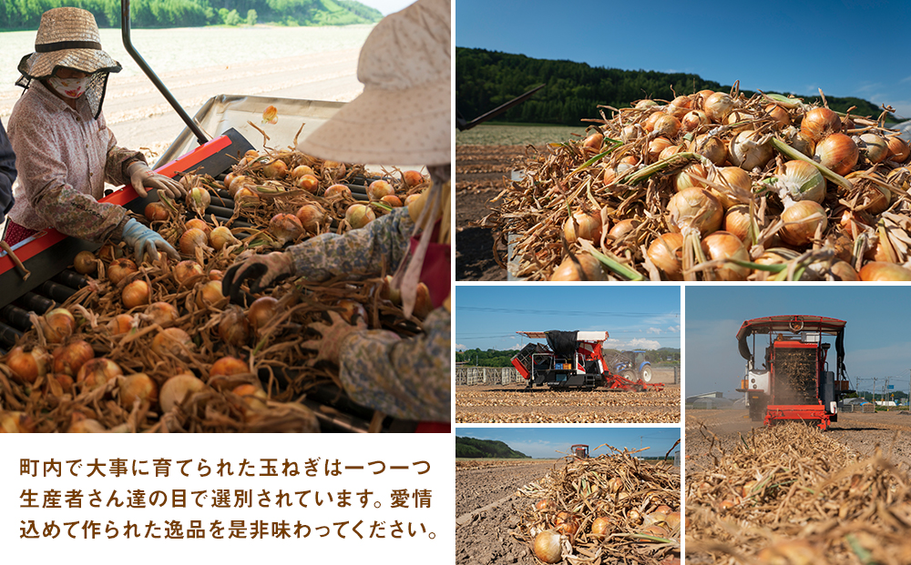 R8年産 有機農産物 玉ねぎ 20kg (有)矢作農場 | 玉ねぎ たまねぎ タマネギ 玉葱 大容量 オニオン 甘い 有機栽培 国産 産地直送 カレー ハンバーグ 煮込み 炒め物 北海道 津別町 送料無料 