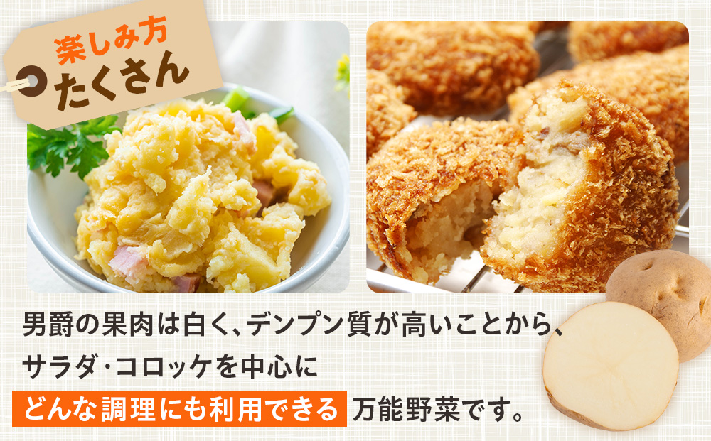 R8年産先行受付 じゃがいも 10kg 特別栽培（男爵） | ジャガイモ 芋 男爵 馬鈴薯 大容量 新鮮 野菜 煮物 カレー シチュー ポテト 保存 特産 産地直送 北海道 津別町 送料無料