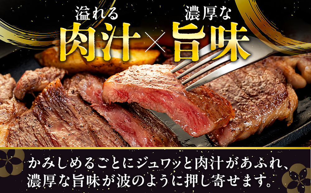 流氷牛ステーキ肉 750g （250g×3 サーロイン）| 肉 和牛 牛肉 黒毛和牛 希少 サーロイン ステーキ 老舗 今半 霜降り 詰合せ 詰め合わせ 送料無料