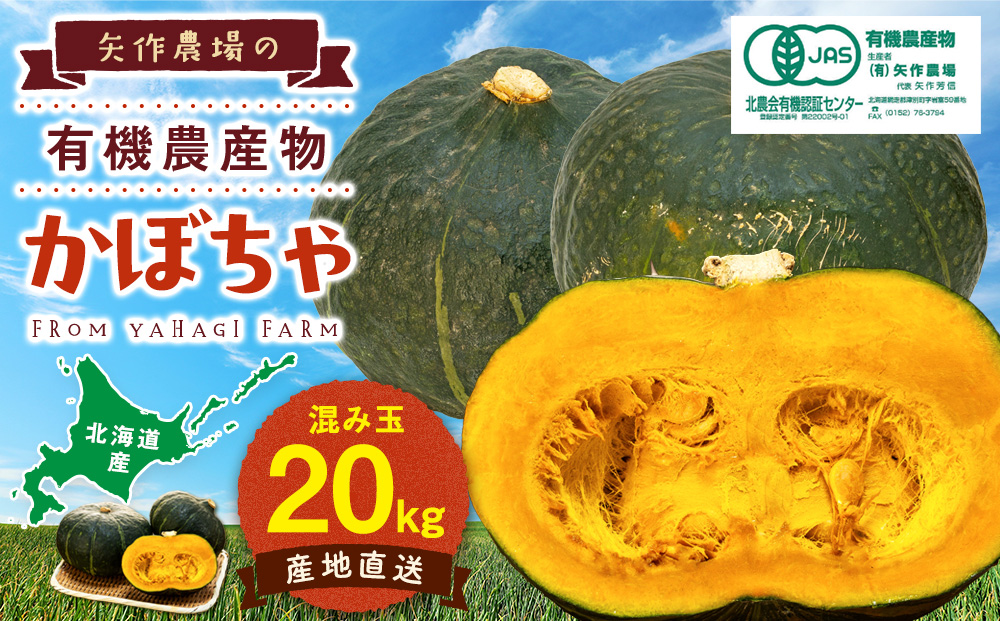 [先行受付]R8年産 有機栽培かぼちゃ 10kg | かぼちゃ カボチャ 南瓜 大容量 パンプキン 甘い 有機栽培 国産 産地直送 北海道 津別町 送料無料