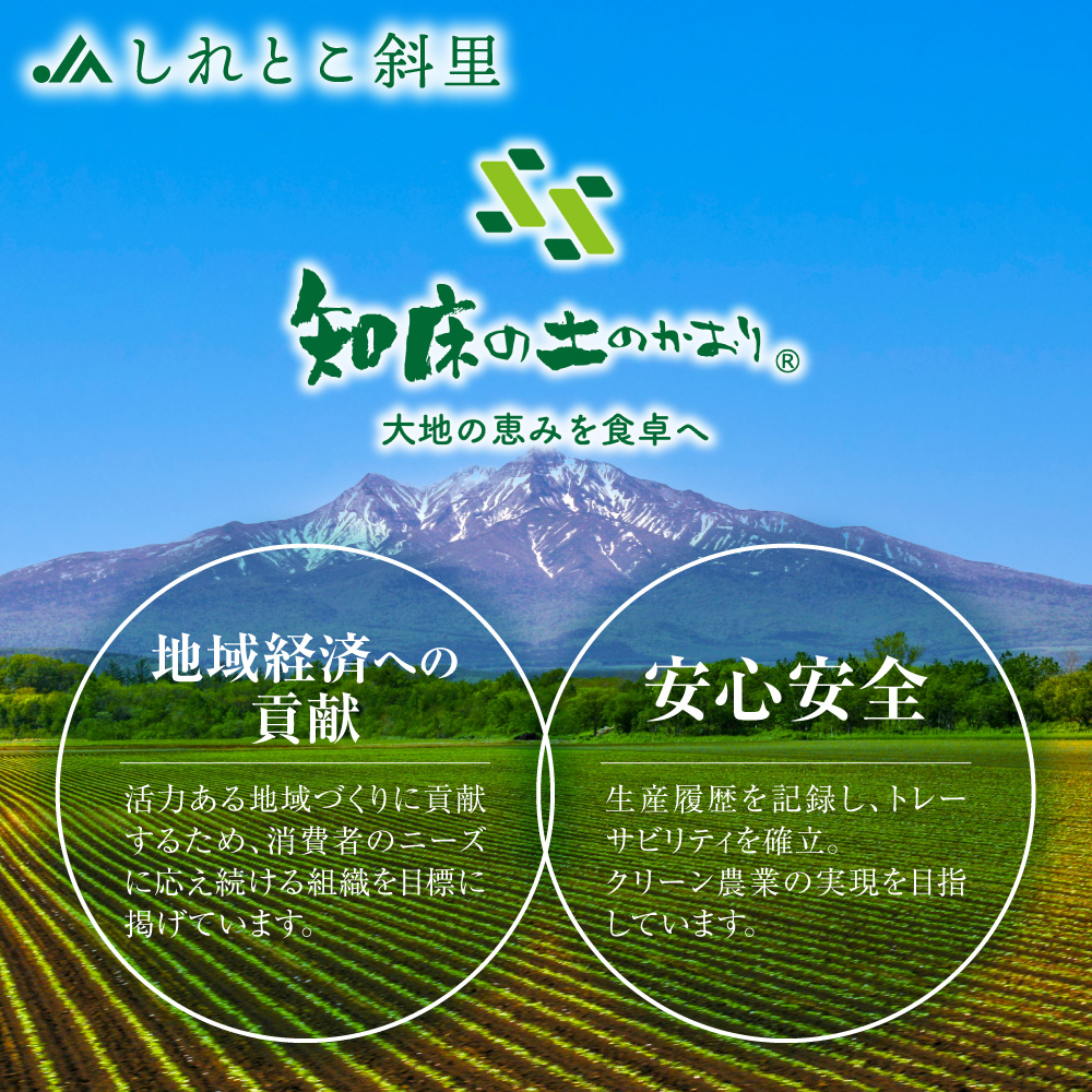 【先行予約】知床の大自然が育む黄金色の極上芋　きたあかり　10kg