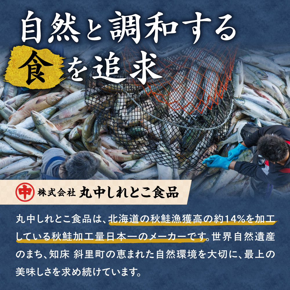 【訳あり】北海道オホーツク海産ホタテ玉冷 500g【無添加】