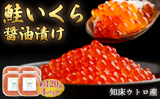 【新物】鮭いくら醤油漬け　約120g×4パック SHU001