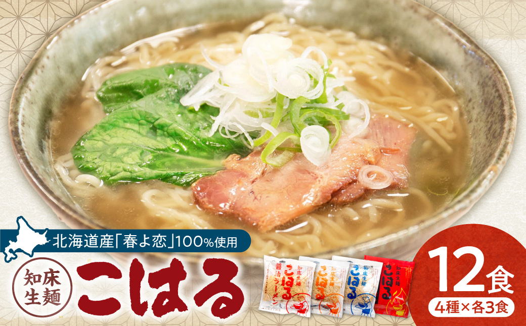 生麺「こはる」12食セット