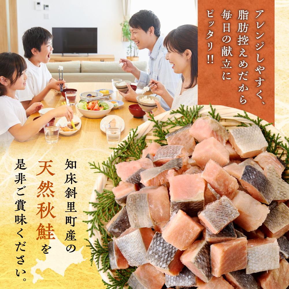【訳あり】北海道斜里町産 骨取り無塩 天然ダイスサーモン 1kg【無添加】